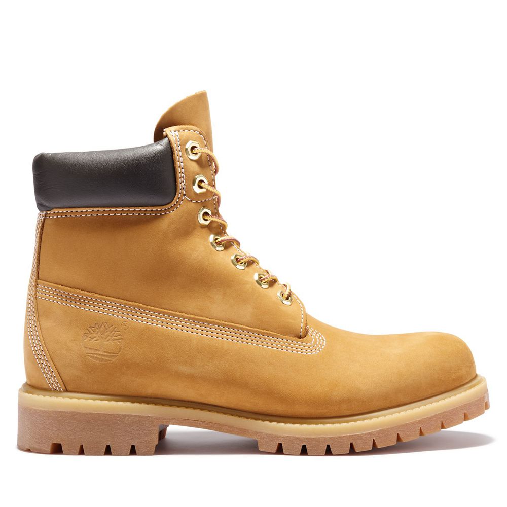 Botas de Nieve Timberland Argentina Hombre - 6-Inch Premium Waterproof - Marrones - KEJBNR-962